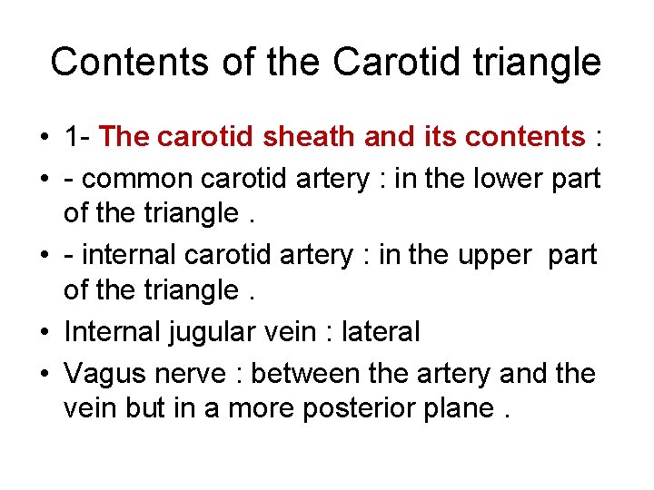 Contents of the Carotid triangle • 1 - The carotid sheath and its contents