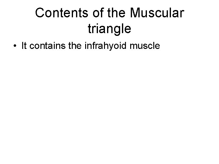 Contents of the Muscular triangle • It contains the infrahyoid muscle 