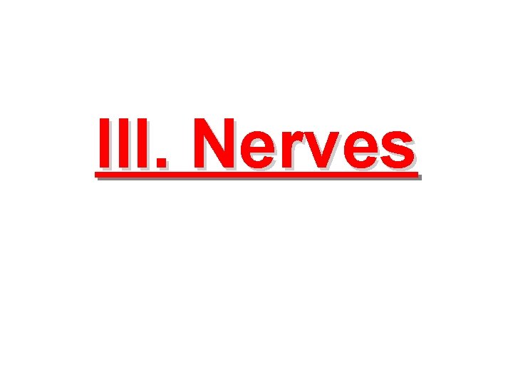 III. Nerves 