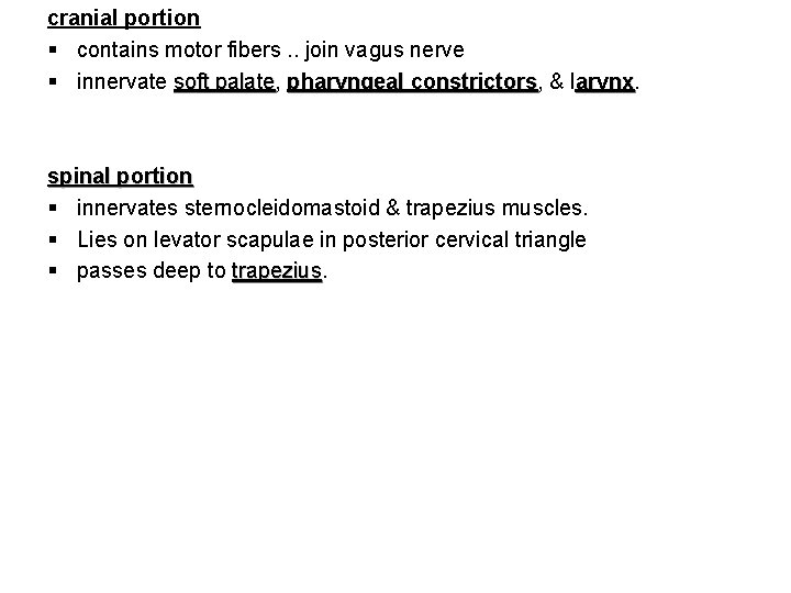 cranial portion § contains motor fibers. . join vagus nerve § innervate soft palate,