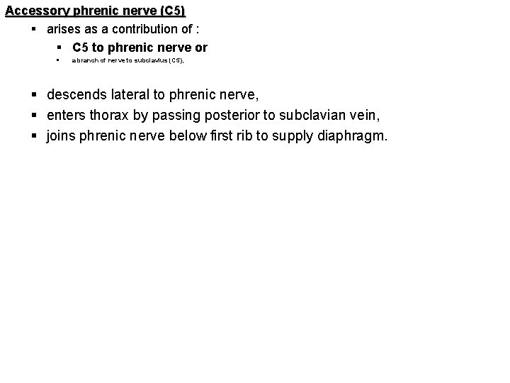 Accessory phrenic nerve (C 5) § arises as a contribution of : § C