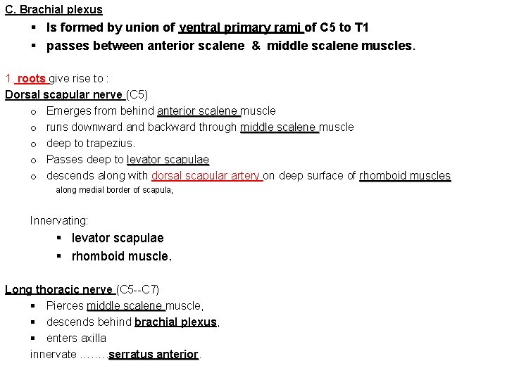 C. Brachial plexus § Is formed by union of ventral primary rami of C