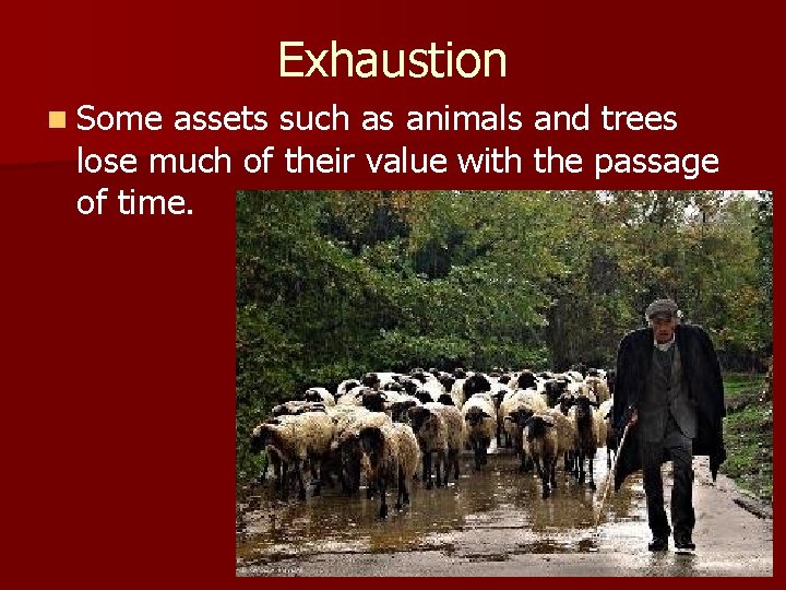 Exhaustion n Some assets such as animals and trees lose much of their value