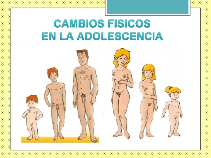 CAMBIOS FISICOS EN LA ADOLESCENCIA 