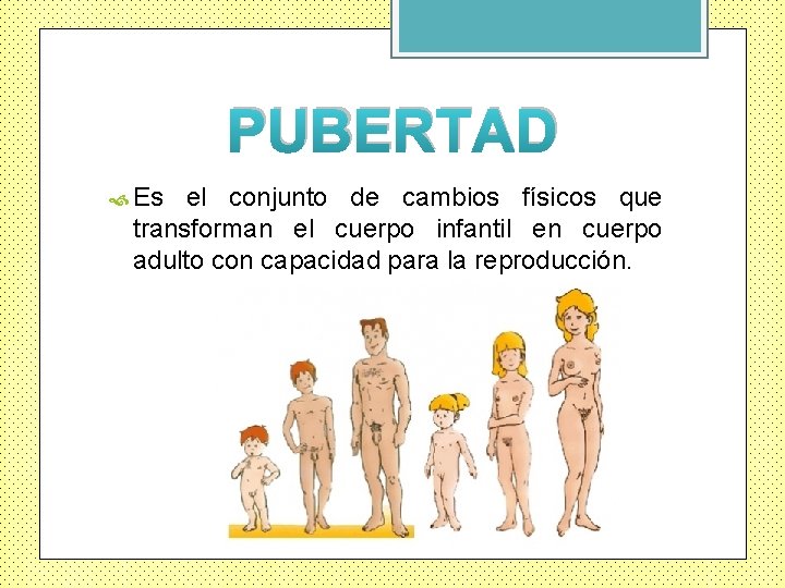 PUBERTAD Es el conjunto de cambios físicos que transforman el cuerpo infantil en cuerpo