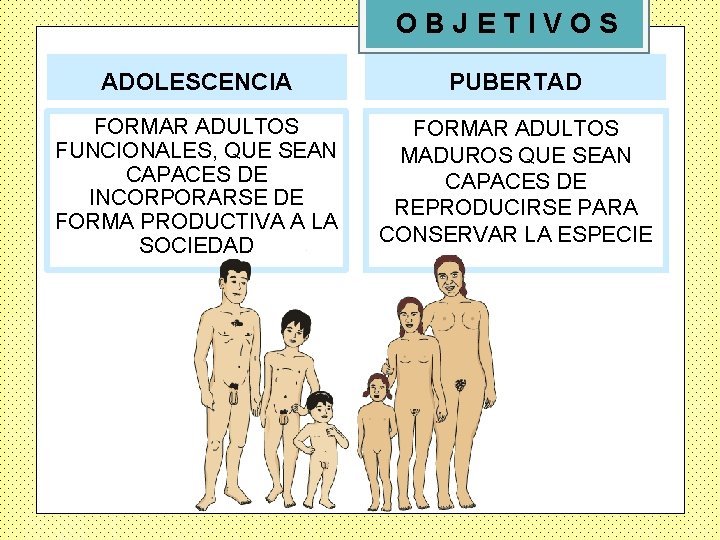 OBJETIVOS ADOLESCENCIA PUBERTAD FORMAR ADULTOS FUNCIONALES, QUE SEAN CAPACES DE INCORPORARSE DE FORMA PRODUCTIVA