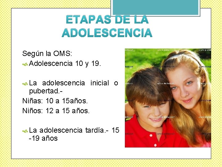 ETAPAS DE LA ADOLESCENCIA Según la OMS: Adolescencia 10 y 19. La adolescencia inicial