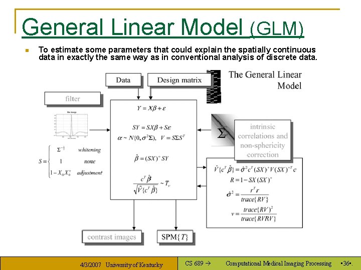General Linear Model (GLM) n To estimate some parameters that could explain the spatially
