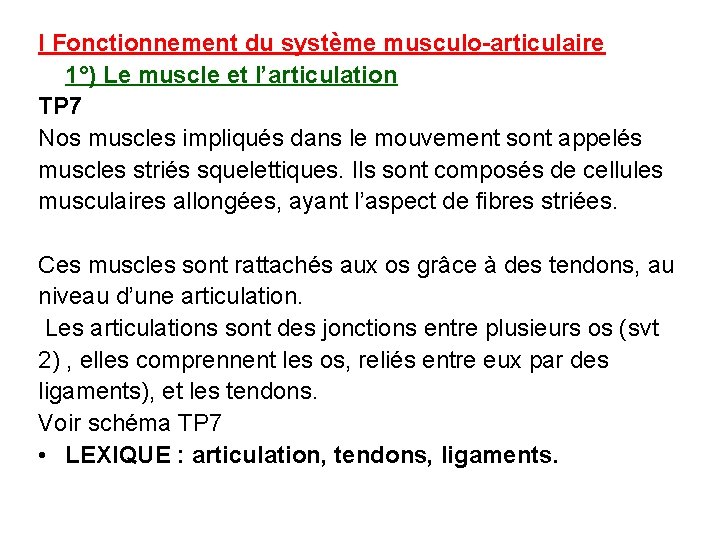 I Fonctionnement du système musculo-articulaire 1°) Le muscle et l’articulation TP 7 Nos muscles