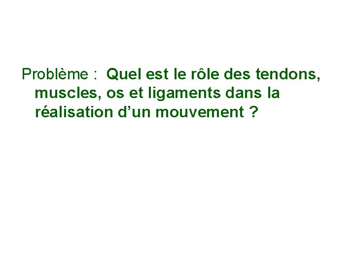 Problème : Quel est le rôle des tendons, muscles, os et ligaments dans la