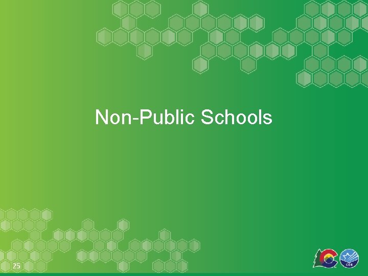 Non-Public Schools 25 