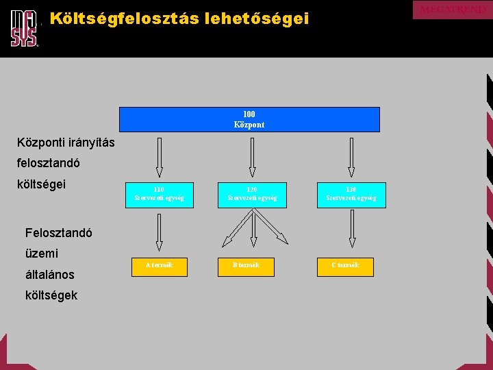 Költségfelosztás lehetőségei 100 Központi irányítás felosztandó költségei 110 Szervezeti egység 120 Szervezeti egység 130