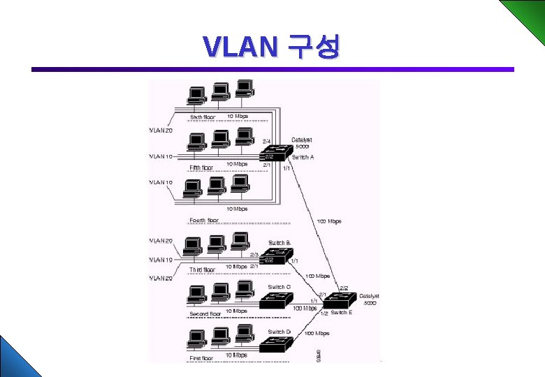 VLAN 구성 