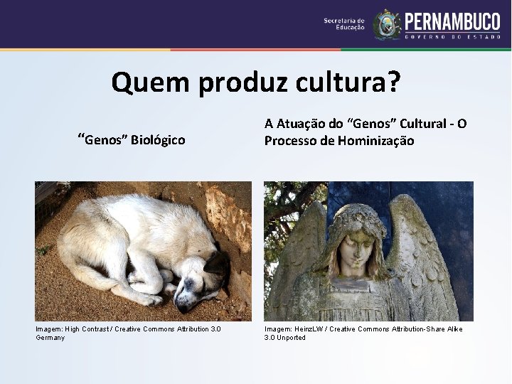 Quem produz cultura? “Genos” Biológico A Atuação do “Genos” Cultural - O Processo de