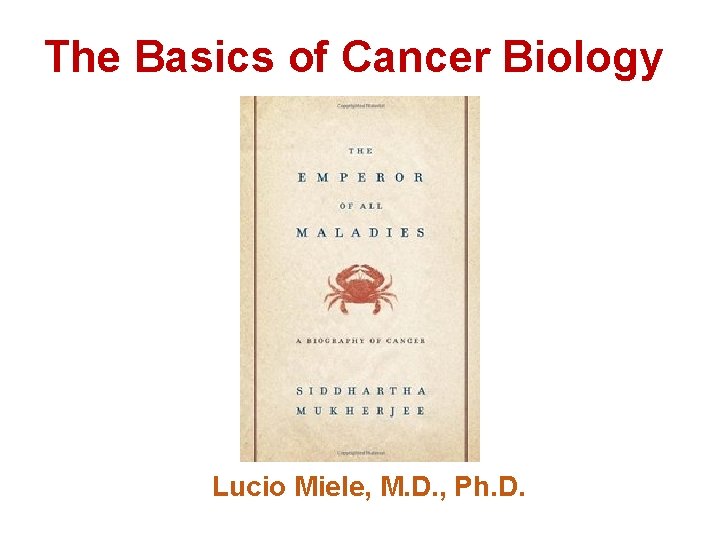The Basics of Cancer Biology • Lucio Miele, M. D. , Ph. D. 