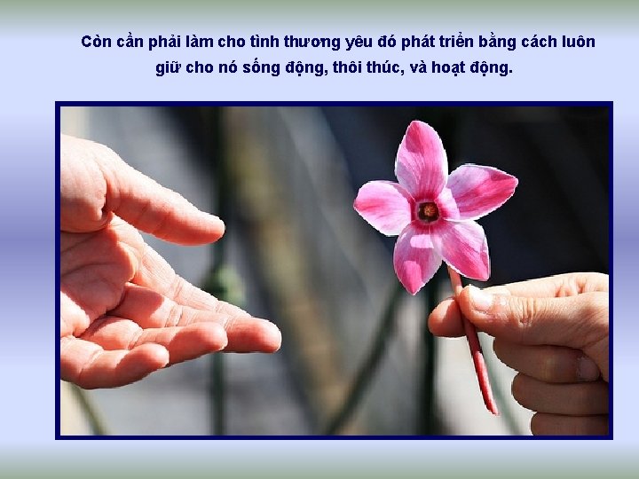 Còn cần phải làm cho tình thương yêu đó phát triển bằng cách luôn