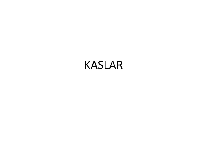 KASLAR 