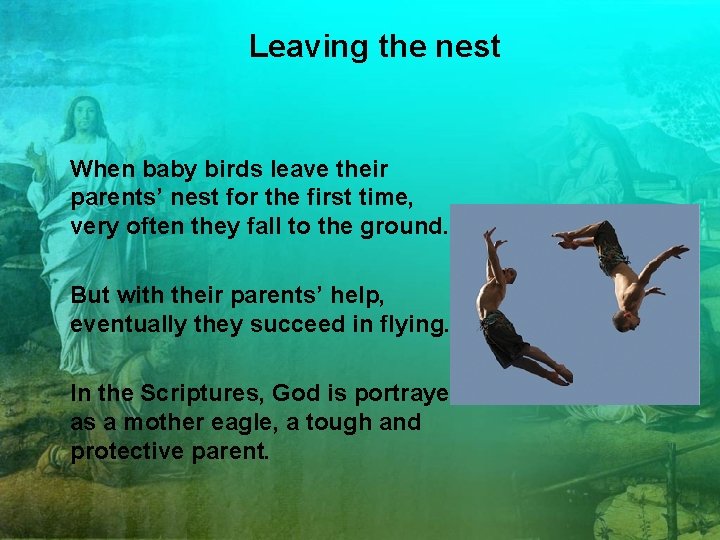 Leaving the nest When baby birds leave their parents’ nest for the first time,