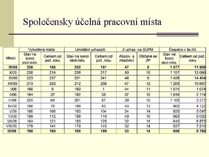 Společensky účelná pracovní místa 