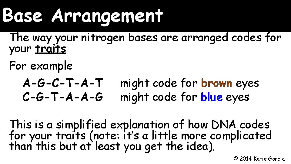 Base Arrangement The way your nitrogen bases are arranged codes for your traits For