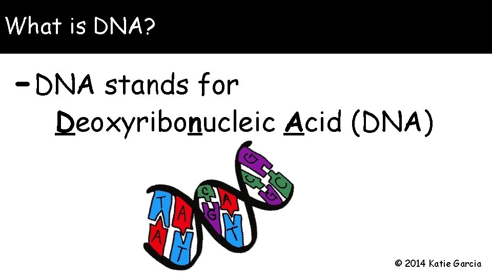 What is DNA? -DNA stands for Deoxyribonucleic Acid (DNA) © 2014 Katie Garcia What is DNA? -DNA stands for Deoxyribonucleic Acid (DNA) © 2014 Katie Garcia