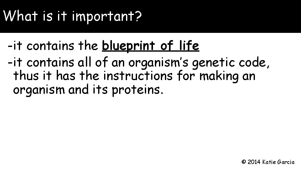 What is it important? -it contains the blueprint of life -it contains all of