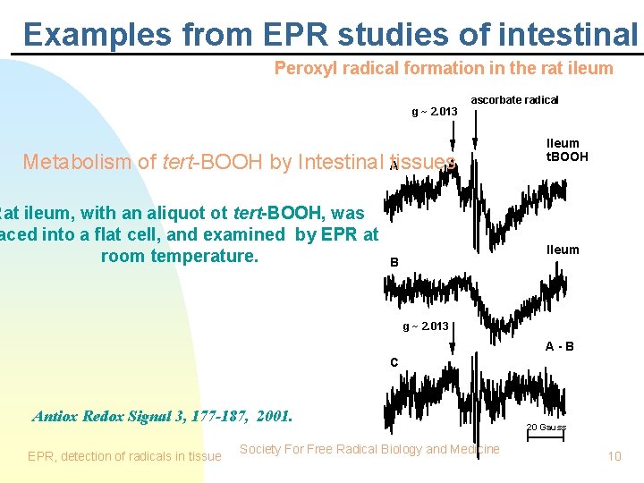 Examples from EPR studies of intestinal Peroxyl radical formation in the rat ileum g