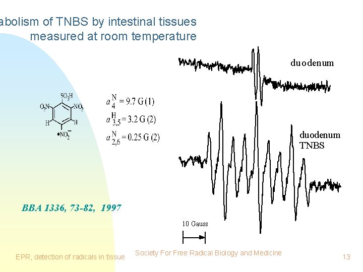 abolism of TNBS by intestinal tissues measured at room temperature duodenum TNBS BBA 1336,