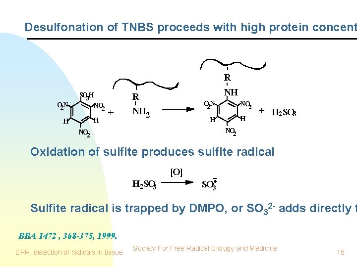 Desulfonation of TNBS proceeds with high protein concent O 2 N SO 3 H