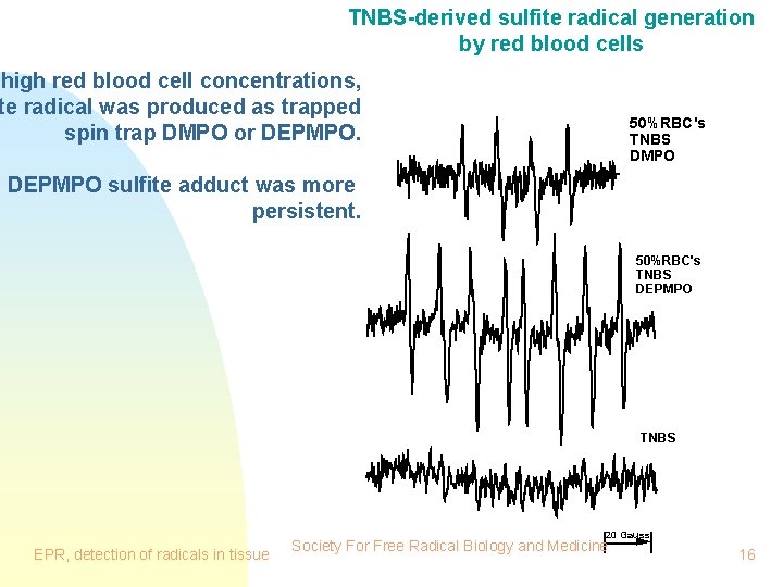 TNBS-derived sulfite radical generation by red blood cells high red blood cell concentrations, te