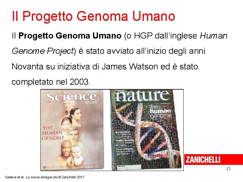 Il Progetto Genoma Umano (o HGP dall’inglese Human Genome Project) è stato avviato all’inizio