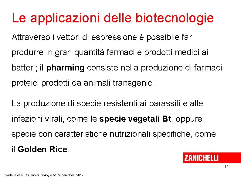 Le applicazioni delle biotecnologie Attraverso i vettori di espressione è possibile far produrre in