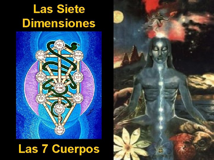 Las Siete Dimensiones Las 7 Cuerpos 