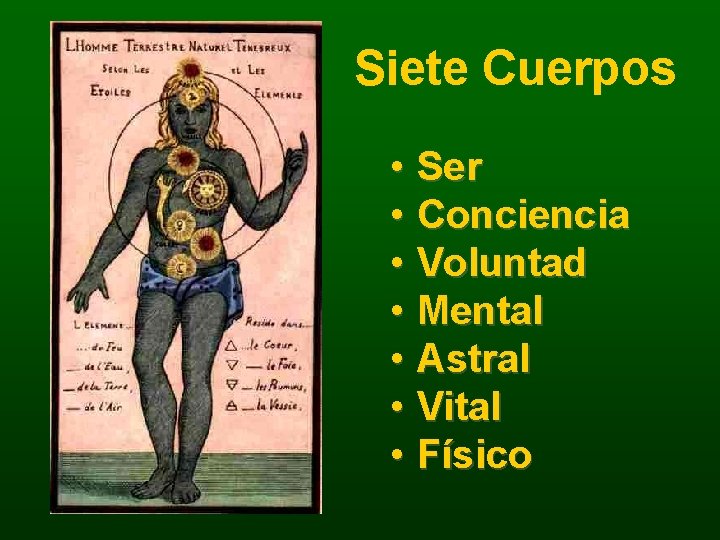 Siete Cuerpos • Ser • Conciencia • Voluntad • Mental • Astral • Vital