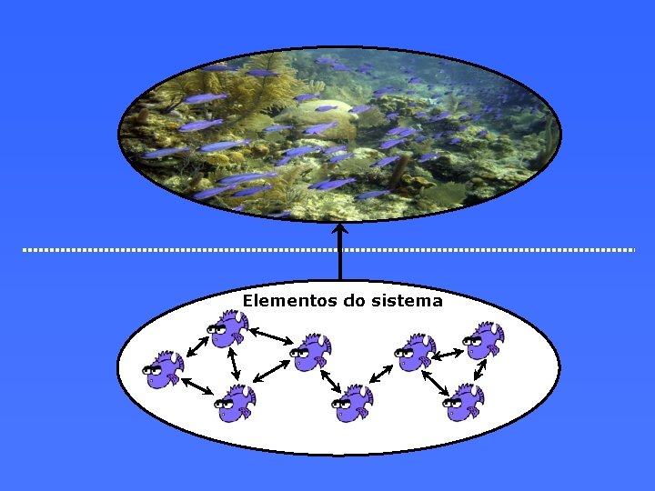 Elementos do sistema 