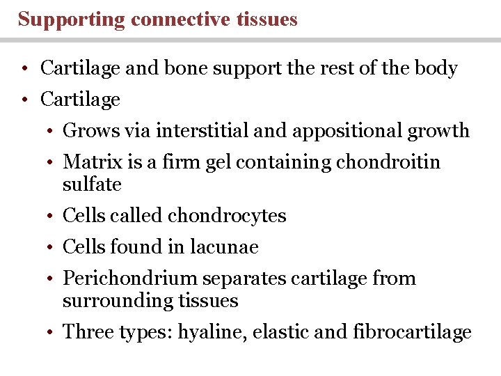 Supporting connective tissues • Cartilage and bone support the rest of the body •