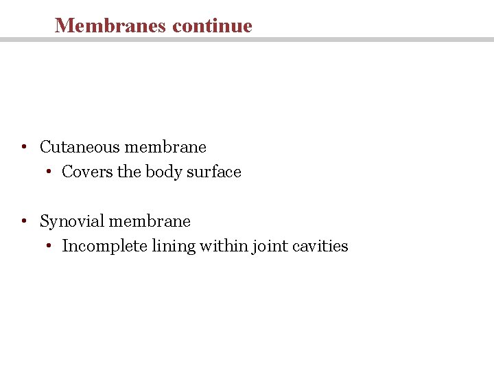 Membranes continue • Cutaneous membrane • Covers the body surface • Synovial membrane •