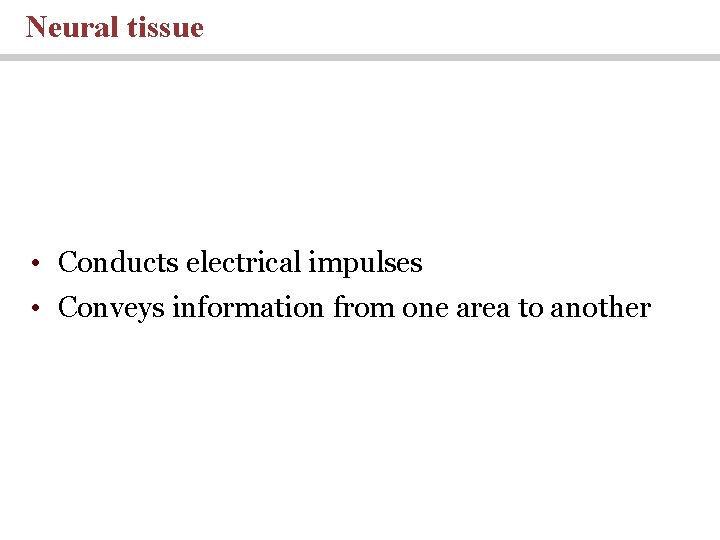 Neural tissue • Conducts electrical impulses • Conveys information from one area to another