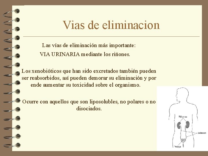 Vias de eliminacion Las vías de eliminación más importante: VIA URINARIA mediante los riñones.