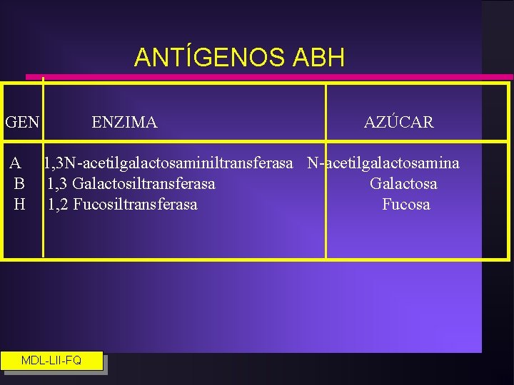 ANTÍGENOS ABH GEN A B H ENZIMA AZÚCAR 1, 3 N-acetilgalactosaminiltransferasa N-acetilgalactosamina 1, 3