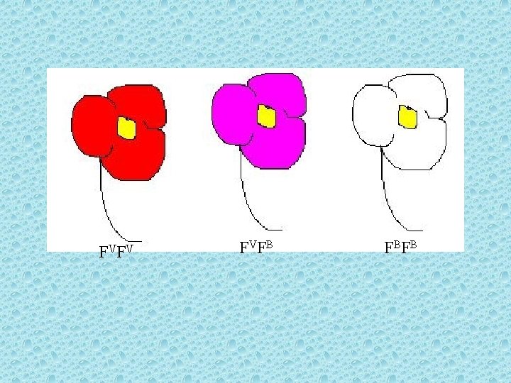 F VF V F VF B FB FB F VF V F VF B FB FB