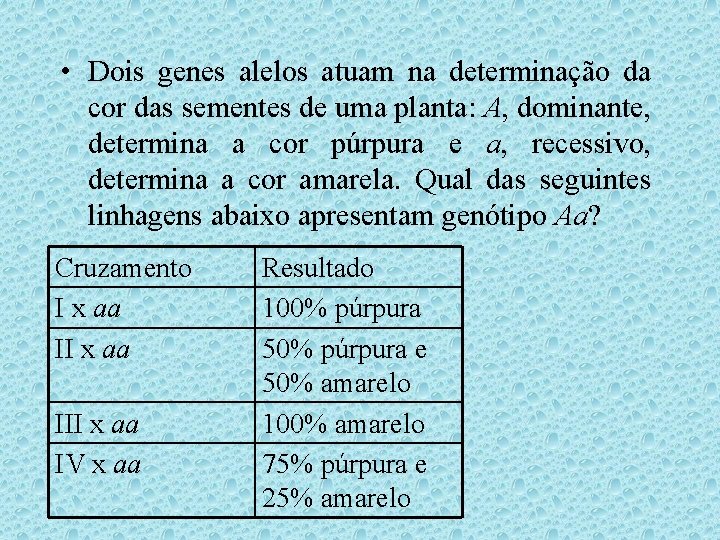 • Dois genes alelos atuam na determinação da cor das sementes de uma • Dois genes alelos atuam na determinação da cor das sementes de uma