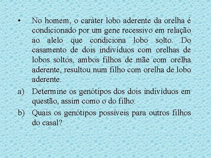 • No homem, o caráter lobo aderente da orelha é condicionado por um • No homem, o caráter lobo aderente da orelha é condicionado por um