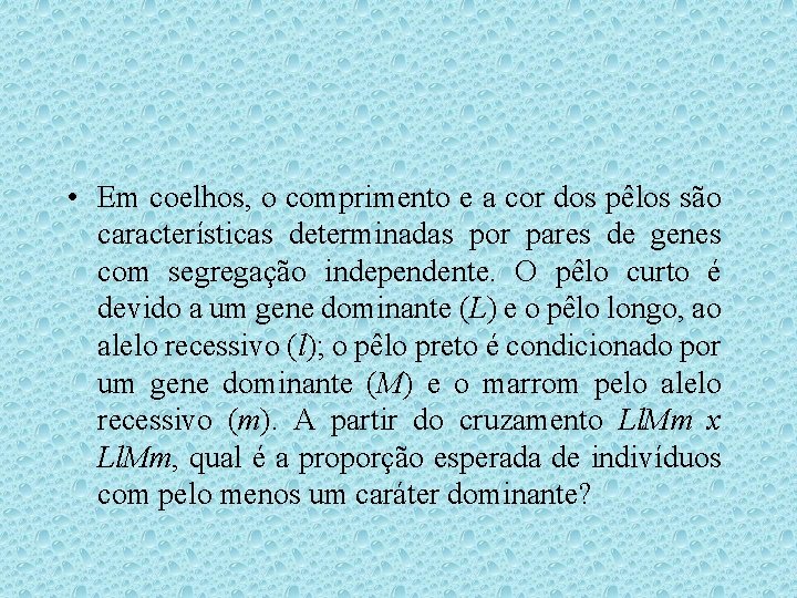 • Em coelhos, o comprimento e a cor dos pêlos são características determinadas • Em coelhos, o comprimento e a cor dos pêlos são características determinadas