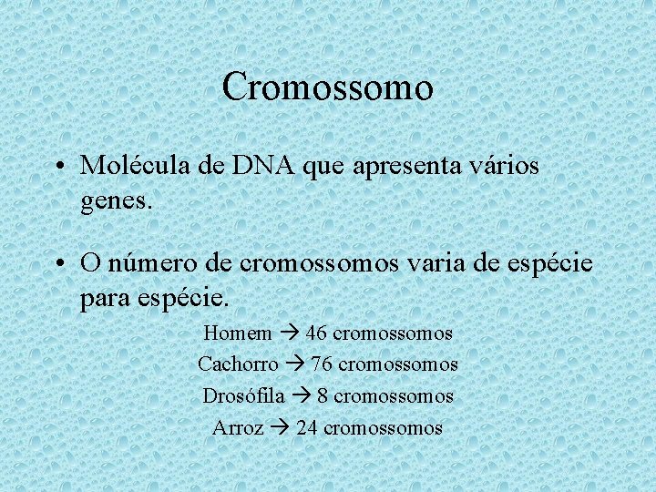 Cromossomo • Molécula de DNA que apresenta vários genes. • O número de cromossomos Cromossomo • Molécula de DNA que apresenta vários genes. • O número de cromossomos