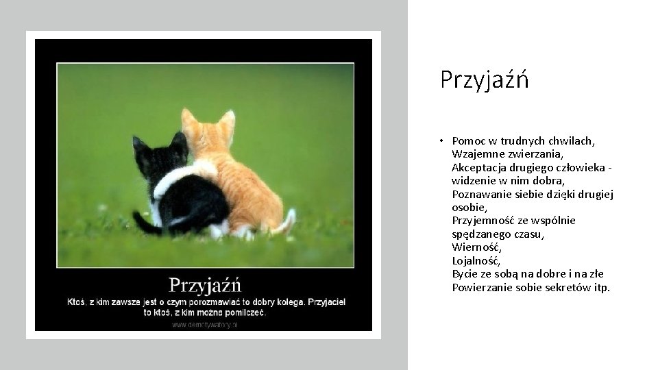 Przyjaźń • Pomoc w trudnych chwilach, Wzajemne zwierzania, Akceptacja drugiego człowieka - widzenie w