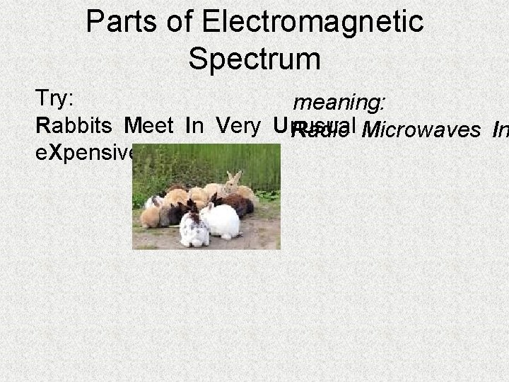 Parts of Electromagnetic Spectrum Try: meaning: Rabbits Meet In Very Unusual  Radio Microwaves In e. Xpensive Gardens 