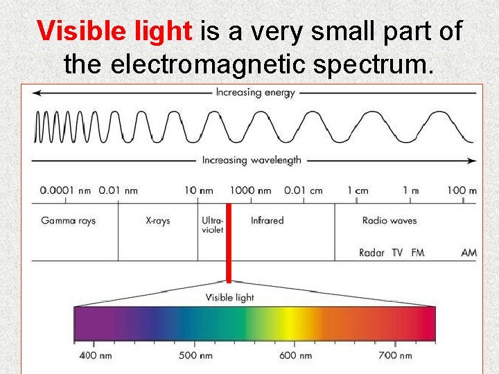 Visible light is a very small part of the electromagnetic spectrum. 