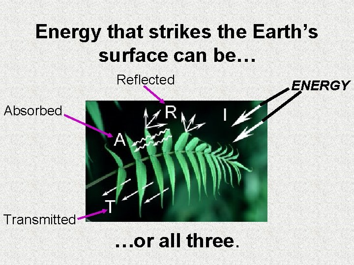 Energy that strikes the Earth’s surface can be… Reflected Absorbed Transmitted …or all three.