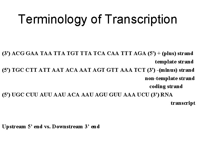 Terminology of Transcription (3') ACG GAA TTA TGT TTA TCA CAA TTT AGA (5') Terminology of Transcription (3') ACG GAA TTA TGT TTA TCA CAA TTT AGA (5')